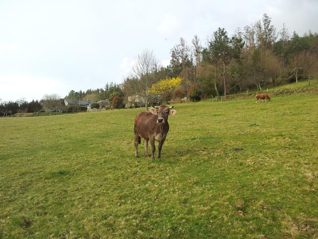 Casa Rural Grana Da Acea Monfero ภายนอก รูปภาพ
