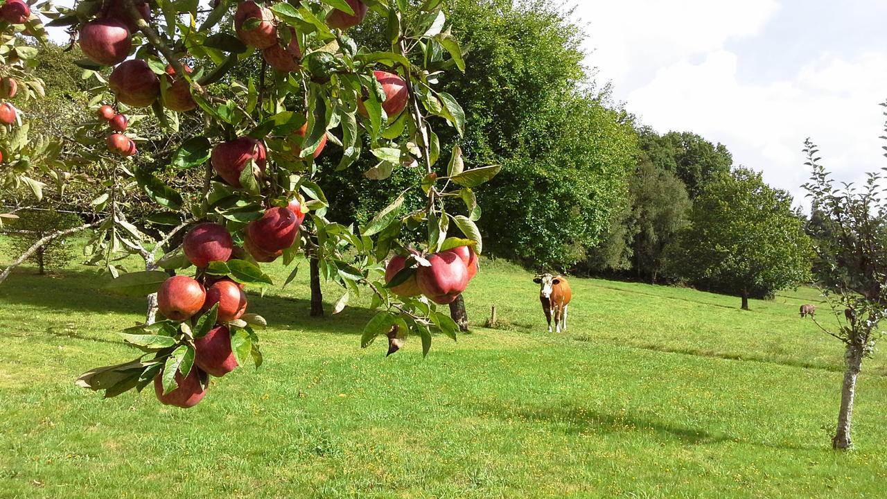 Casa Rural Grana Da Acea Monfero ภายนอก รูปภาพ